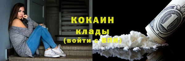 ешки Ладушкин